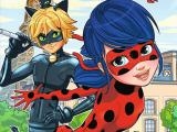 玩 Ladybug differences now