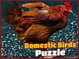 玩 Domestic birds puzzle now
