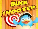 玩 Duck shooter now