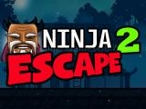 玩 Ninja escape 2 now
